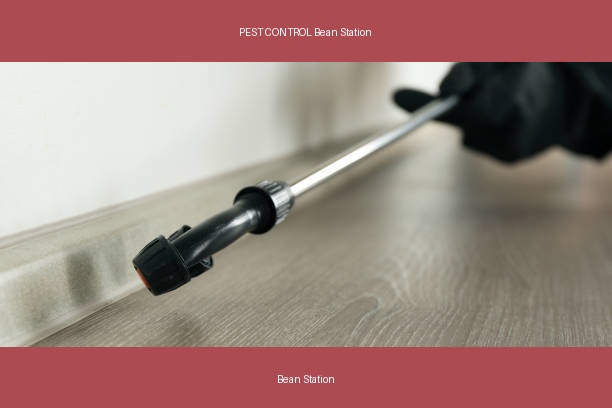PEST CONTROL Bean Station